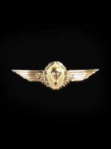 Distinction: Jump wings - gold – Bundeswehr